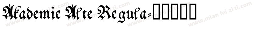 Akademie Alte Regula字体转换